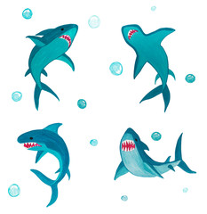 Set of hand drawn Sharks and bubles