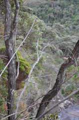 Pico da Bandeira - Minas Gerais - Brasil