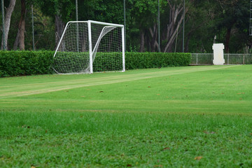 football field Is a green lawn That has been beautifully trimmed