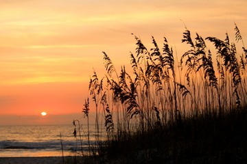 Sunset Amelia Island Florida Beach