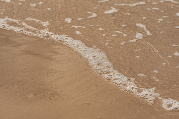 Sandy Baltic Sea Side on a sunny summer day