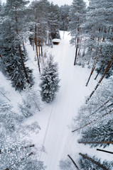 Fototapety na wymiar - Fototapeta24.pl