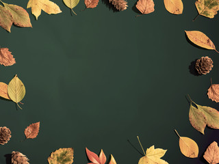 Autumn leaf border frame from above - flat lay
