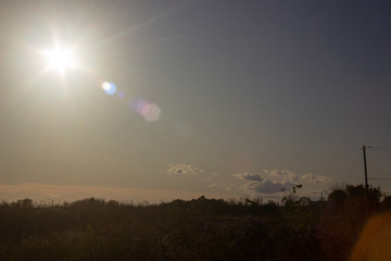 Natural Lighting Effects