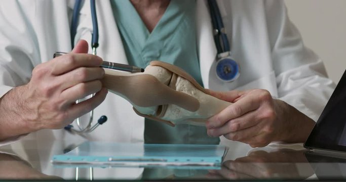A orthopedic doctor or surgeon using a skeletal model of a human knee to aid in his explanation of a diagnosis or repair.