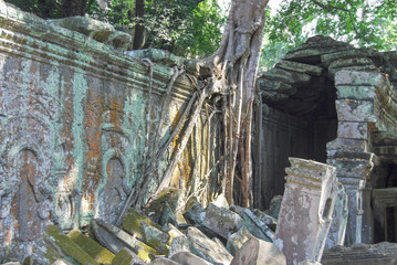 The ruins of the temple Ta Prohm. Angkor Thom. Cambodia