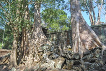 The ruins of the wall of the temple Ta Prohm. Angkor Thom. Cambodia