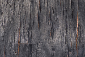 decay wood, background