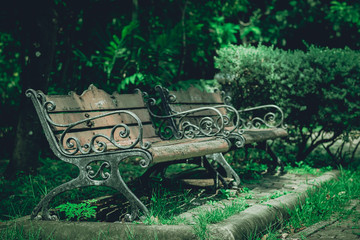 Wooden chair in Wachira Benchachat park