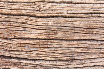 pattern of decay wood