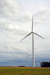 wind turbines in the field