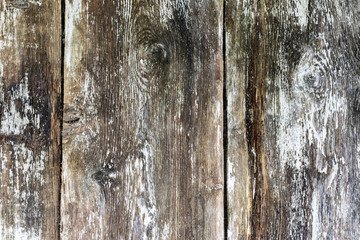 Scrubed white color from old floor planks, wood texture of a grunge planks, background of a rubed floor planks