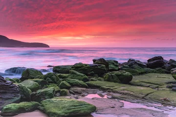 Selbstklebende Fototapeten Hochrot Soft Pink Sunrise Seascape and Green Mossy Rocks  © Merrillie