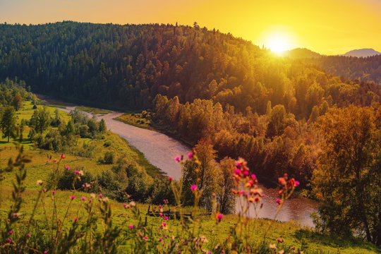 river and forest at sunset in summer