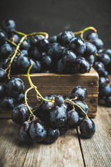 Ripe black grape on the rustic background. Selective focus. Shallow depth of field.