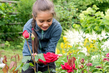 Pretty girl with a smile on her face looks and touches the colorful red rose bud in the garden with her hands