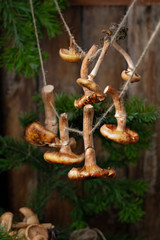 Mushrooms agaric honey dried on a rope. Harvesting of the autumn crop. Brown mushrooms on a dark background. Selective focus. Healthy nutrition concept