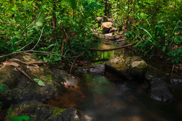 Naklejka na ściany i meble Small streams flow through abundant tropical forests in forest of Thailand,Phang Nga,Koh Yao Yai