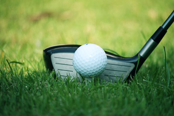 golf club and golf ball close up in grass field with sunset. Golf ball close up in golf coures
