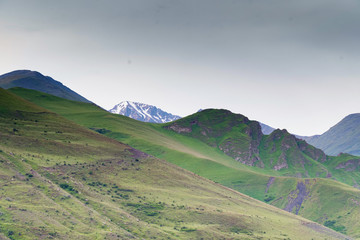 Obraz premium Scenic view of foggy mountains. Clouds and green mountain forest view