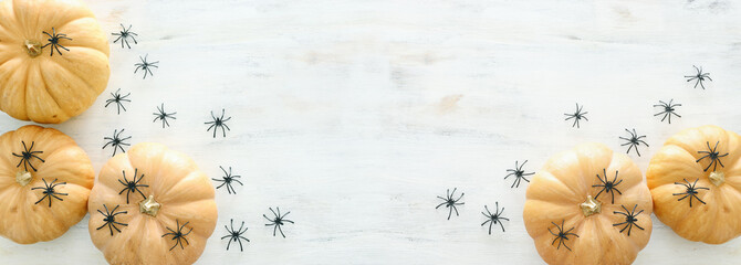 holidays Halloween image. pumpkin and spiders over wooden white table. top view, flat lay