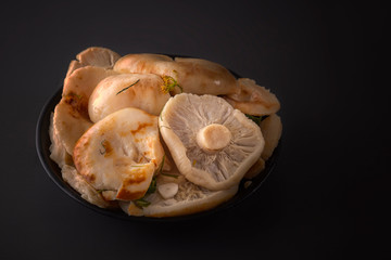 Salted mushrooms on a dark background. Low key. Copy space. Close-up