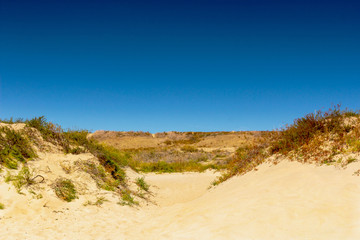 sand dunes against the blue sky