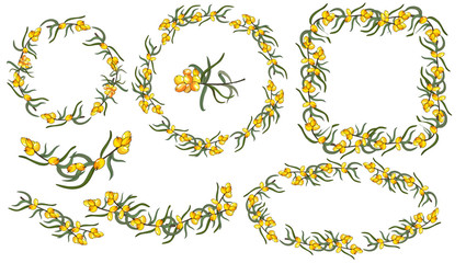 Set of frames from sea buckthorn berries. Frames round, square, oval, half circle