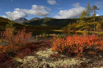 Autumn in the mountains, Magadan region, Kolyma, Jack London lake