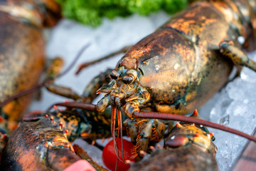 Sea fresh lobster at street market in Thailand. Seafood concept. Raw lobster for cooking, closeup