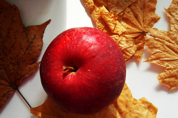 red apple and autumn leaves