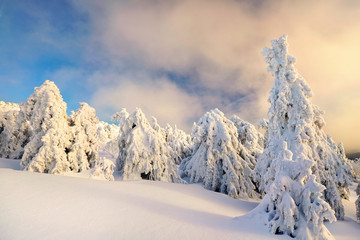 Bergwelt im Harz