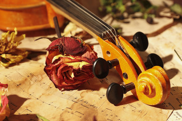 Violin, dried roses and vintage sheet music close up
