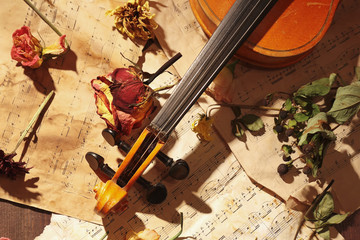 Rare violin, dried flowers and old sheet music close up.