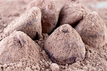 Chocolate Truffle.