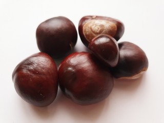 chestnuts isolated on white background