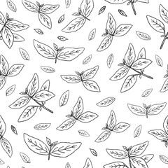 Black and white seamless pattern with hand drawn outline basil.