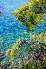 Recreation. View through the pine trees of the Aegean Sea in Sithonia. Greece. A warm sunny day in September. Bright colors and amazing beauty of nature.   