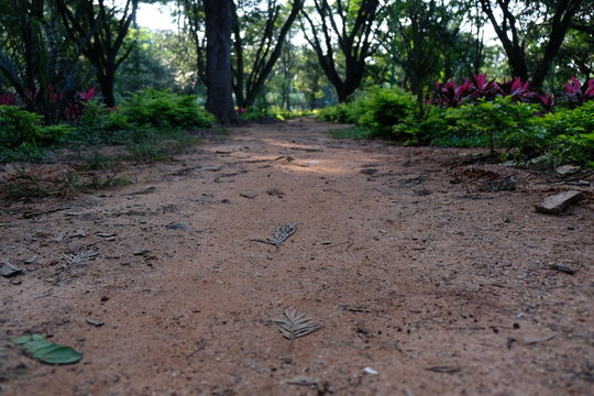 Cubbon Park Bangalore