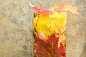 Festive autumn leaves decor in a transparent box