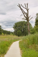 Fototapeta na wymiar Small walking lane with dead tree in the country side Flanders Belgium