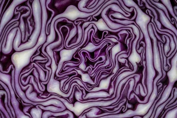 Washable wall murals Macro photography Background of the blue cabbage in the cut. Close up, top view. Texture raw purple cabbage
