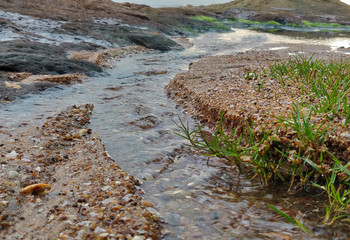 Seashore