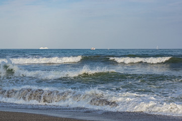 The sea is worry, waves with foam. The white ships on the horizon.