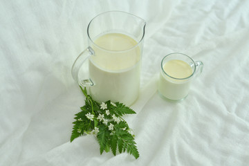 Glass jug pitcher of fresh milk with glass on white background.Milk concept