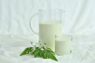 Glass jug pitcher of fresh milk with glass on white background.Milk concept
