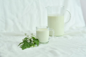 Glass jug pitcher of fresh milk with glass on white background.Milk concept