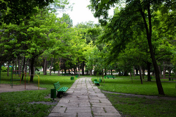 Fototapeta na wymiar Beautiful park in a city.