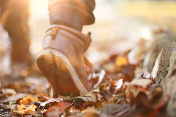 Autumn Park man walking along a path foliage