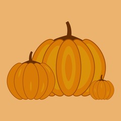 Autumn pumpkins of different sizes. Concept holiday illustration. Halloween. Harvesting vector